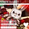 Inquisitive White Rabbit Avatar