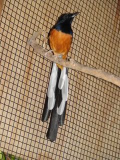 DSC01347.jpg