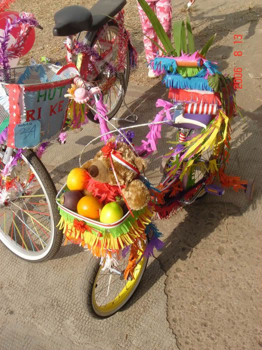 Sepeda Hias 2