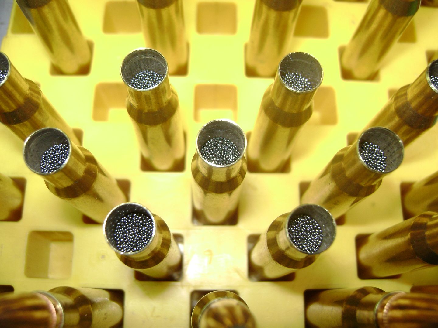 [Image: DSC02896.jpg]