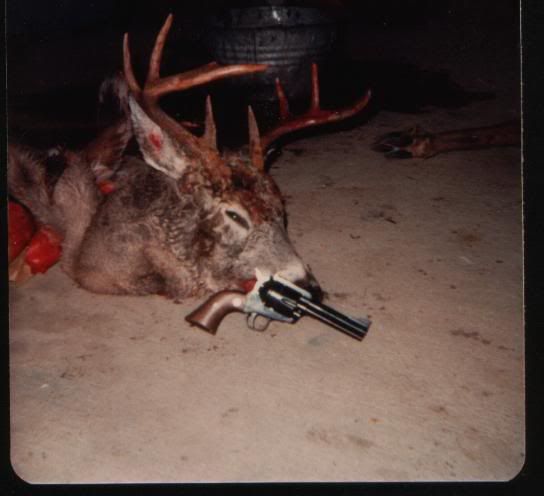 MontanaWhitetail45Colt1.jpg