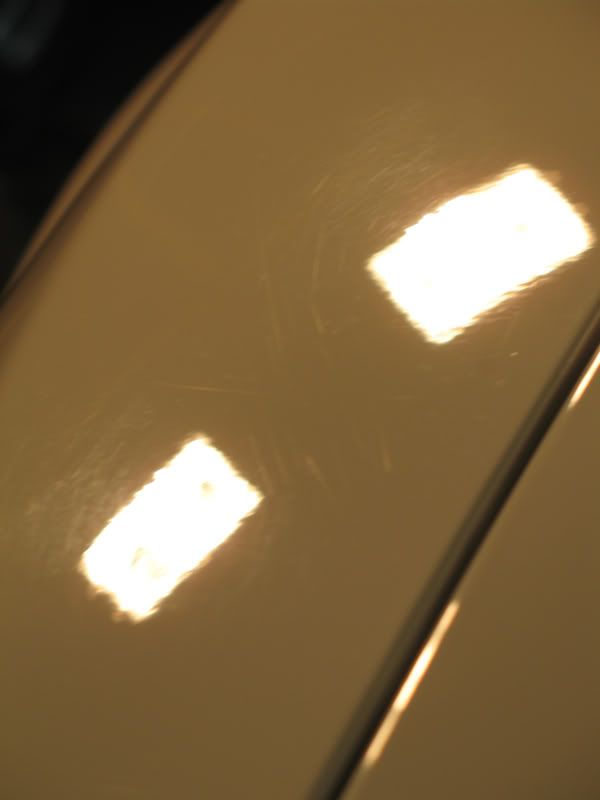 81fcf56b.jpg