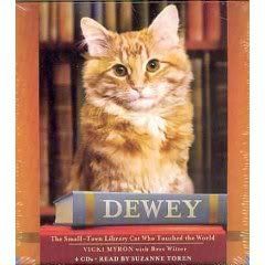 Dewey the library cat