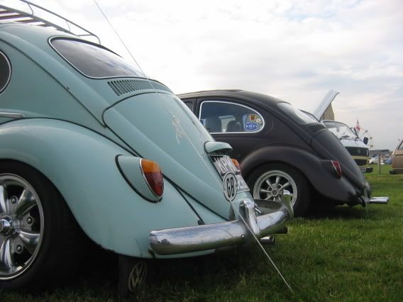 my 66 hoodride resto cal beetle VZi Europe's largest VW community and