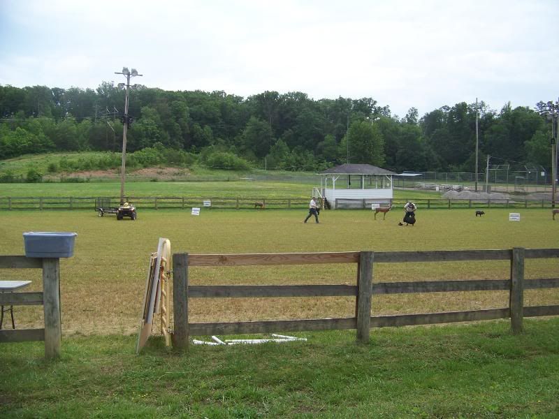 Kentucky ASA ShootDown pictures Page 2 Archery Talk Forum