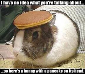 Pancake20Bunny.jpg