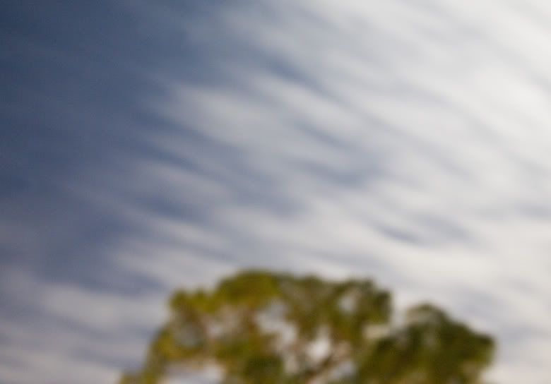 IMAGE: http://i66.photobucket.com/albums/h246/cbmgk/moon6.jpg