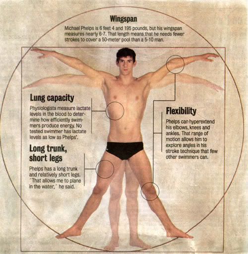 phelps-wingspan-1.jpg