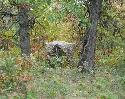 Double Bull Blinds