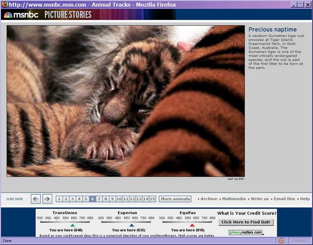 Photo Sharing and Video Hosting at Photobucket