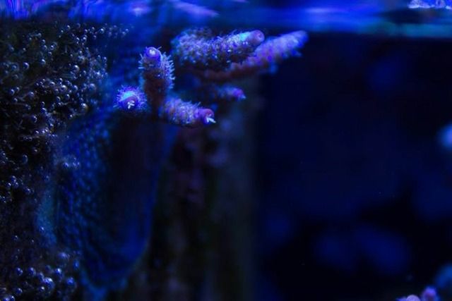 890F0707-B932-4ED0-A36E-59F4E614EDAB_zpsrjjvkigy.jpg