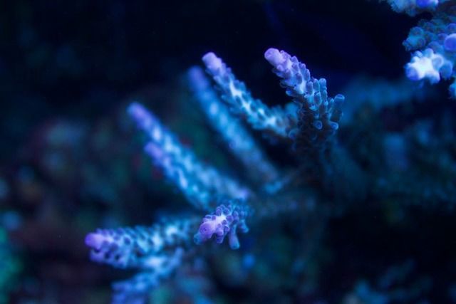 D2EF0D0D-6723-45B7-B420-5AAE99ADAE4A_zpsdo2bnjn7.jpg