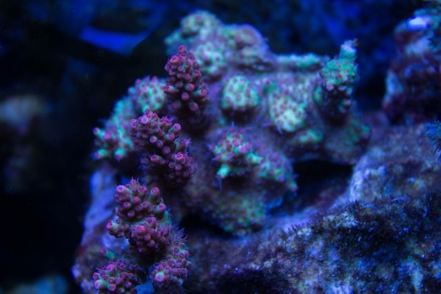 E0BD57C6-AD48-4596-8E28-CF7F8ACF5225_zpsk3v2zn11.jpg