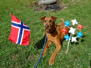 GEILO3mai059.jpg