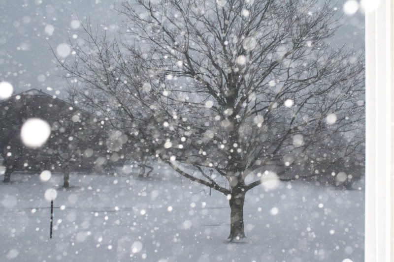 [Image: IMG_0435.jpg]