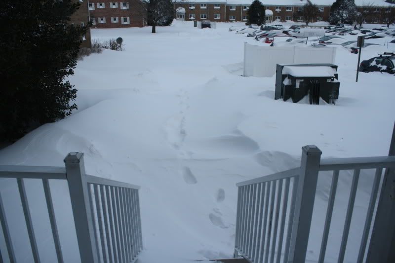 [Image: IMG_0448.jpg]