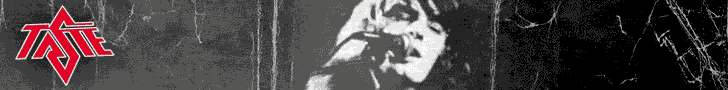 Add Taste's banner to your page