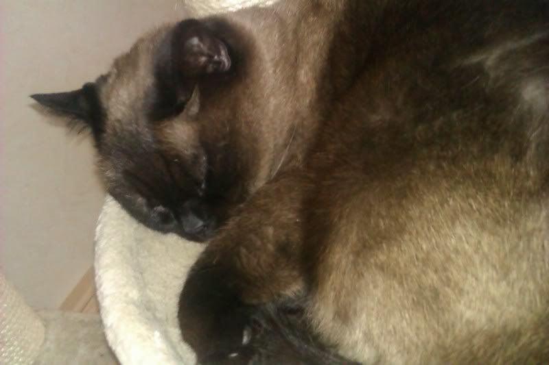 IMAG0025.jpg