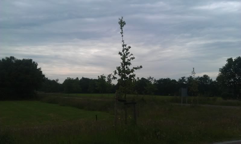 IMAG1145_zps9fa5b221.jpg