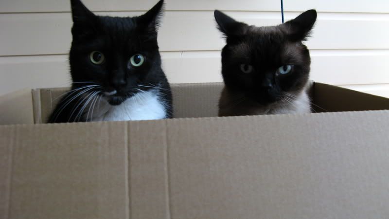 IMG_0042.jpg?t=1301906737