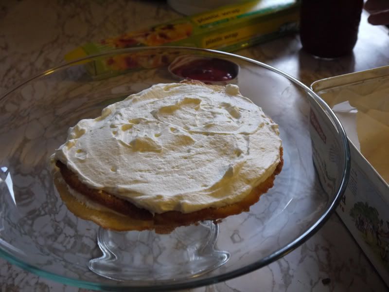 Raspberry Torte 42 Days of Poop 42 Days of Eating Gluten to Test