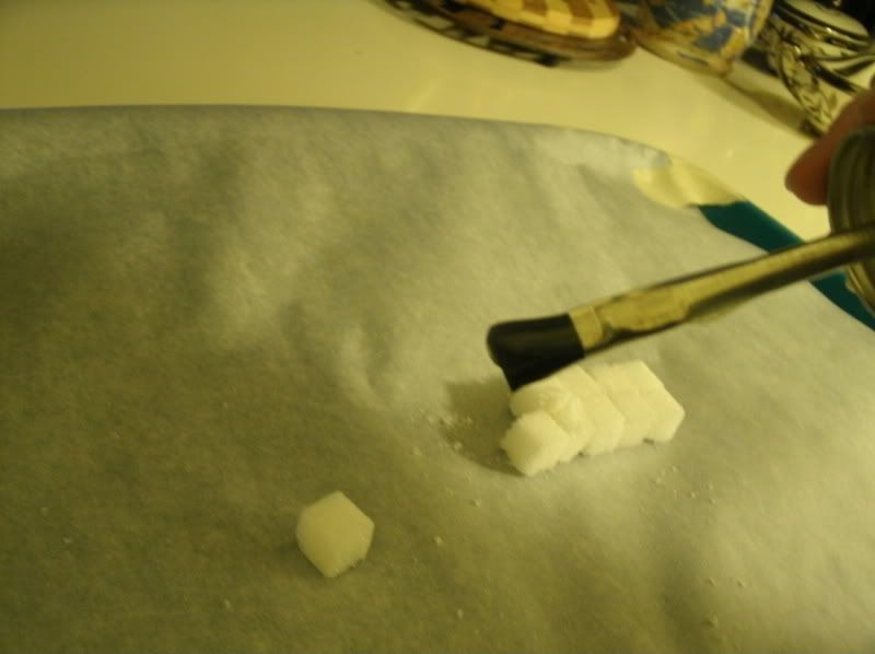 Glue on day 7