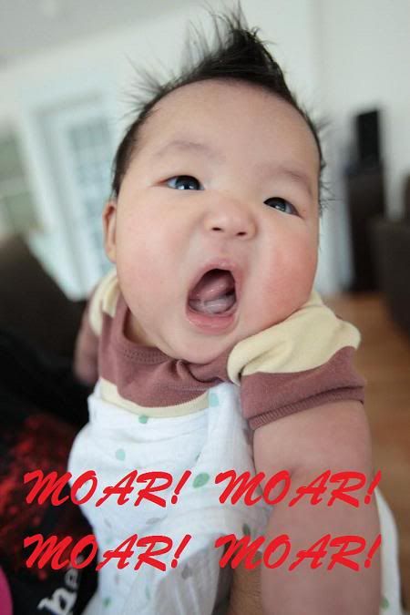 IMG_9441-Copy.jpg