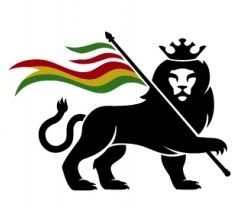 Rasta Lion Pictures, Images and Photos