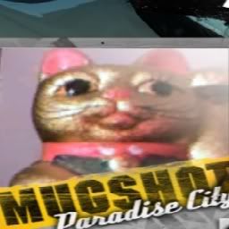 Posted Image