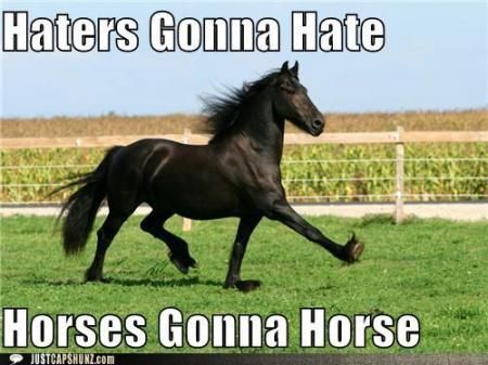 funny-captions-haters-gonna-hate-horses-gonna-horse.jpg