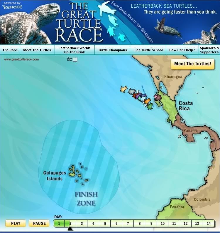 Link to The Great Turtle Race page