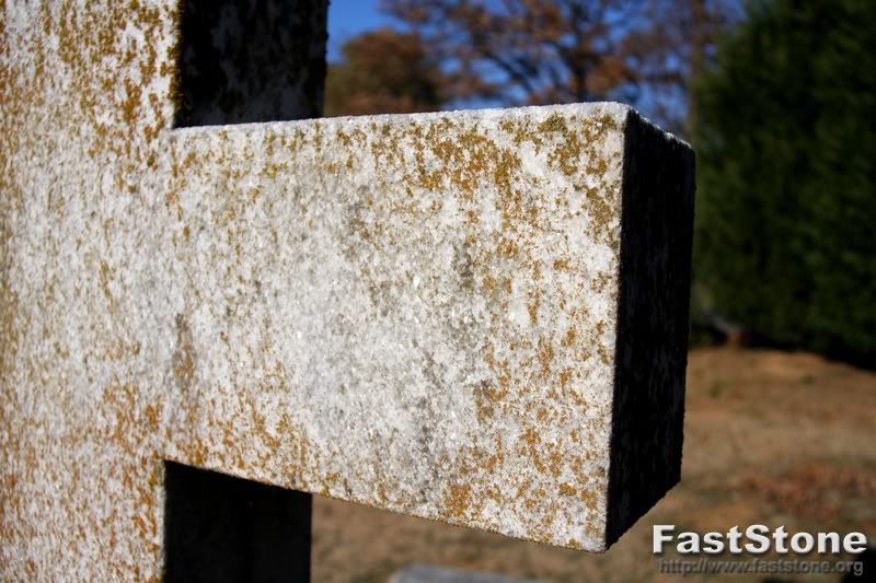 IMAGE: http://i66.photobucket.com/albums/h264/Hunter1911/Canon/2009_02210064.jpg