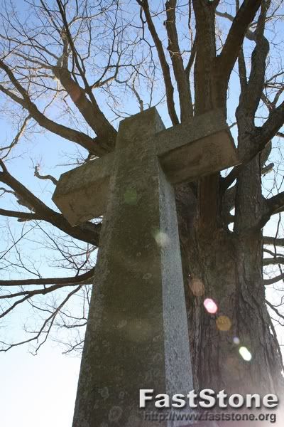 IMAGE: http://i66.photobucket.com/albums/h264/Hunter1911/Canon/2009_02210134.jpg