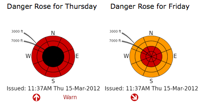 NWAC avalanche rose