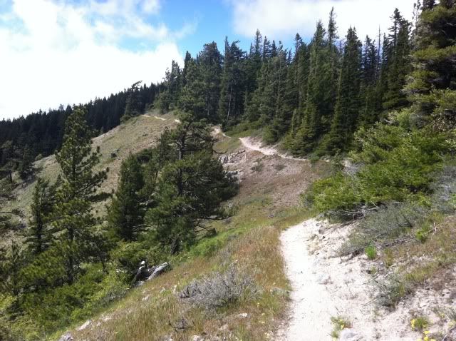 Surveyor's Ridge