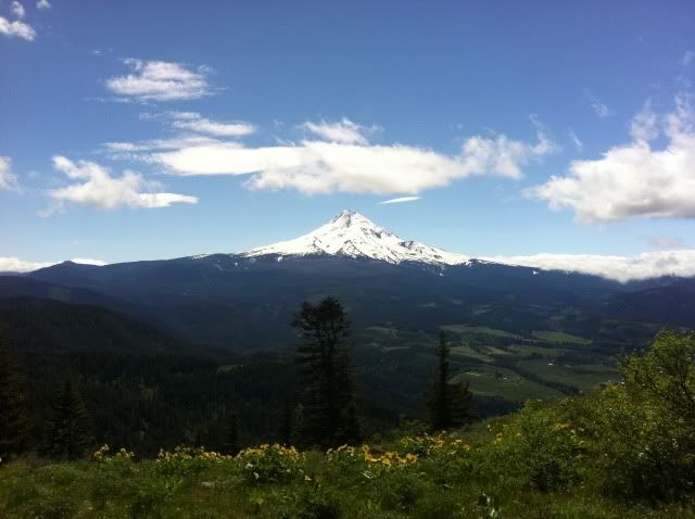 Mt. Hood