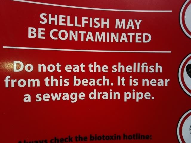 contaminated shellfish