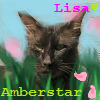 Lisa;; ♥- Amberstar Avatar
