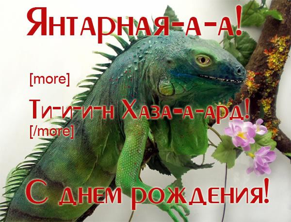 1-1.jpg