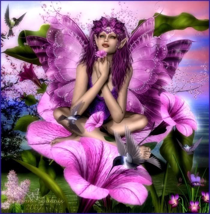 PURPLE FAIRIE.jpg Pictures, Images and Photos