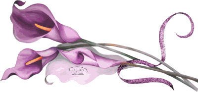PURPLE DIVIDER FLOWER.gif Pictures, Images and Photos