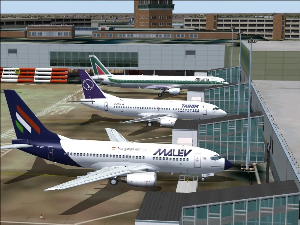 MalevTaromAlitalia.jpg