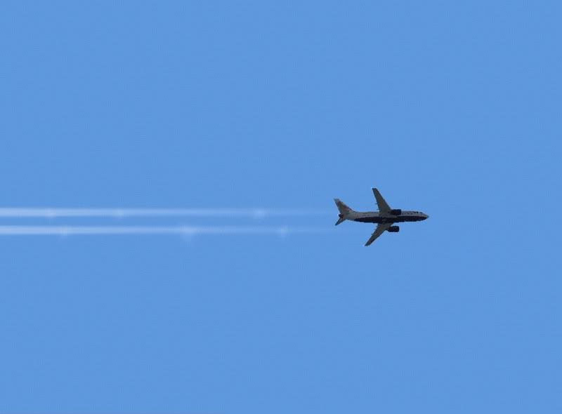 RidimensionadiF-BA737.jpg