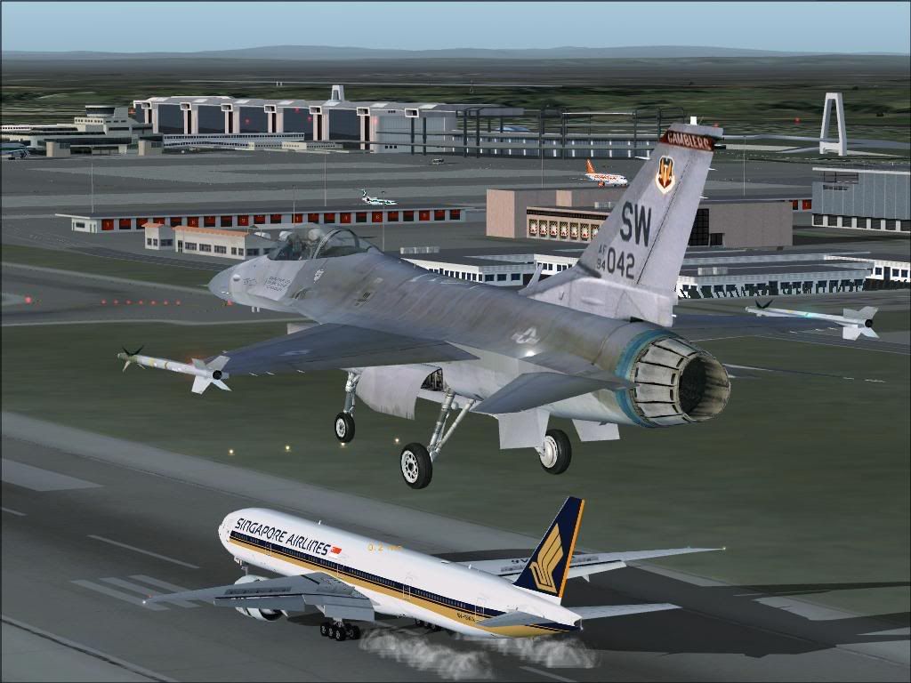 SQF16.jpg