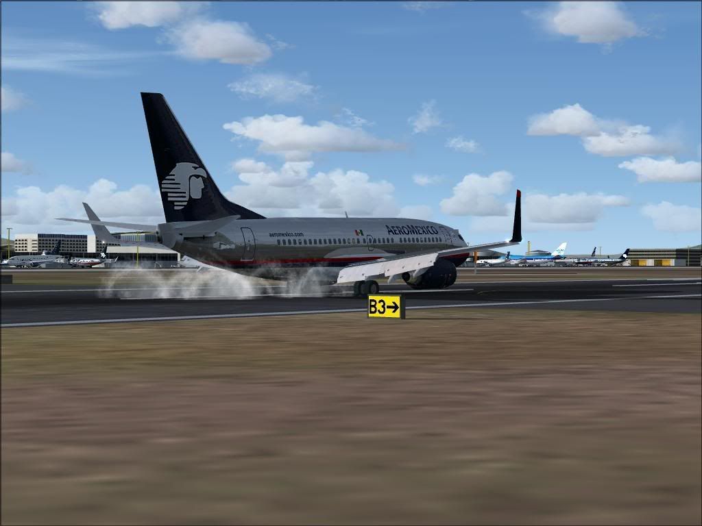 mmmx4.jpg