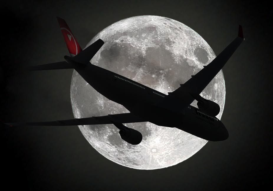 moonlight.jpg