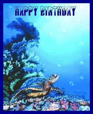 HappyBirthdayTurtle.gif