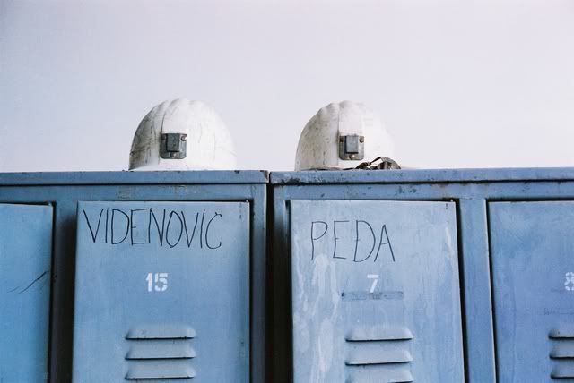 11Radivojevic.jpg