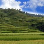 Sagada