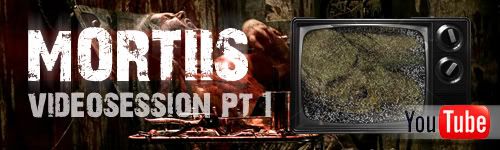 MORTIIS VIDEO SESSION BANNER 1